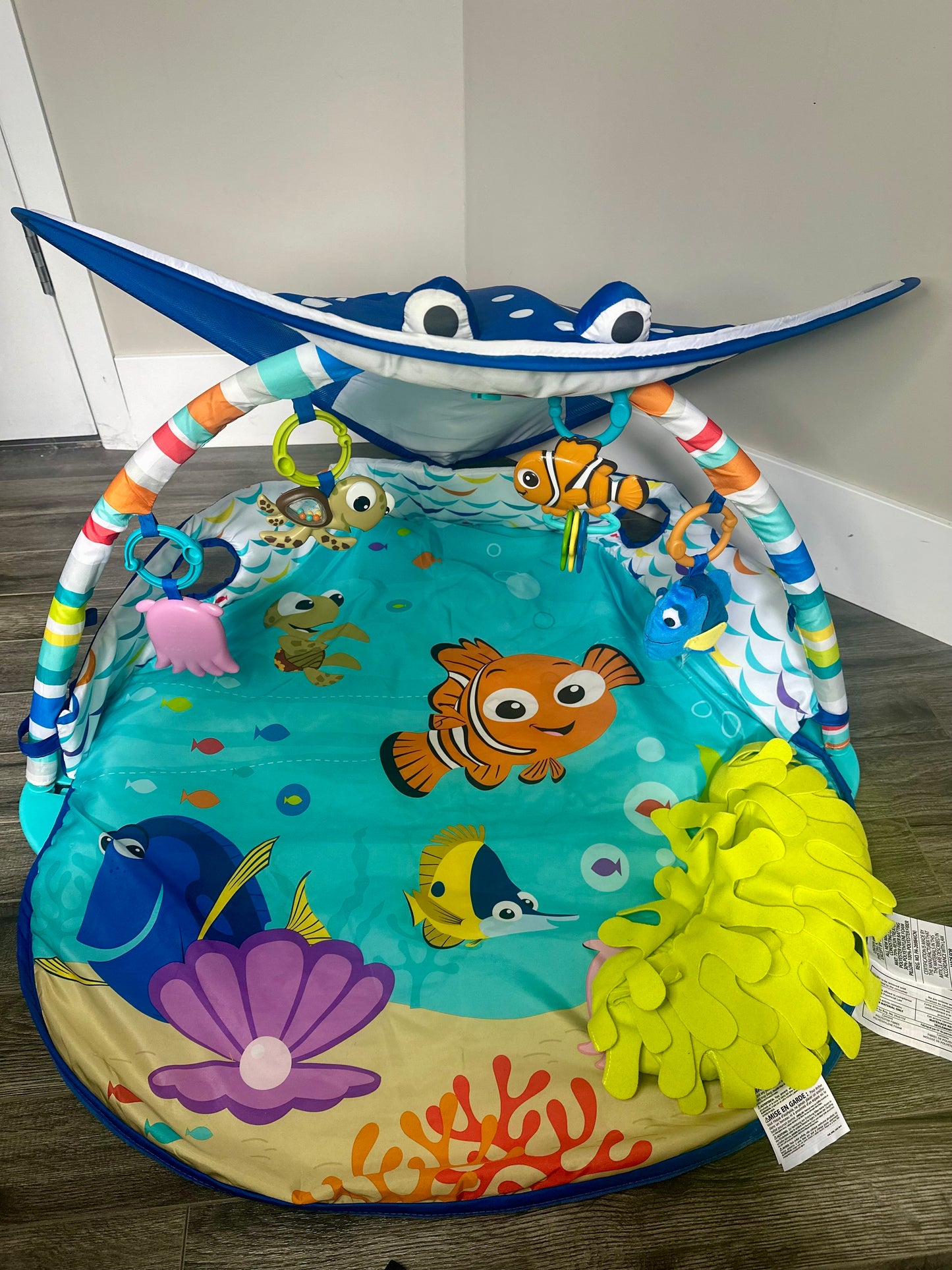 Disney Baby Mr Ray Activity Gym