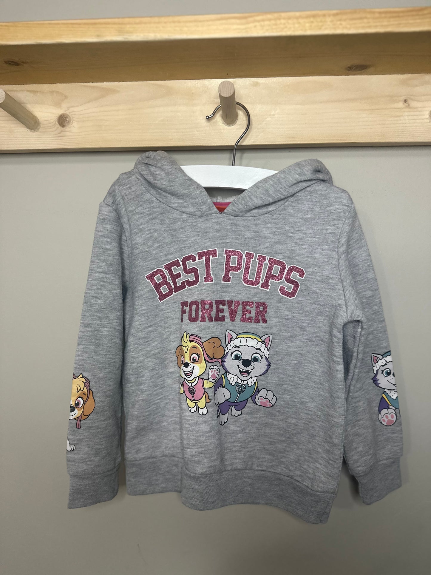 Characters | Paw Patrol | 3T