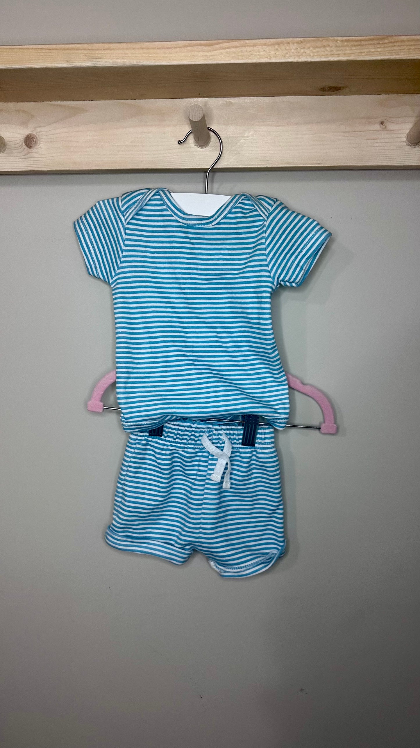 Chickpea | 3-6M