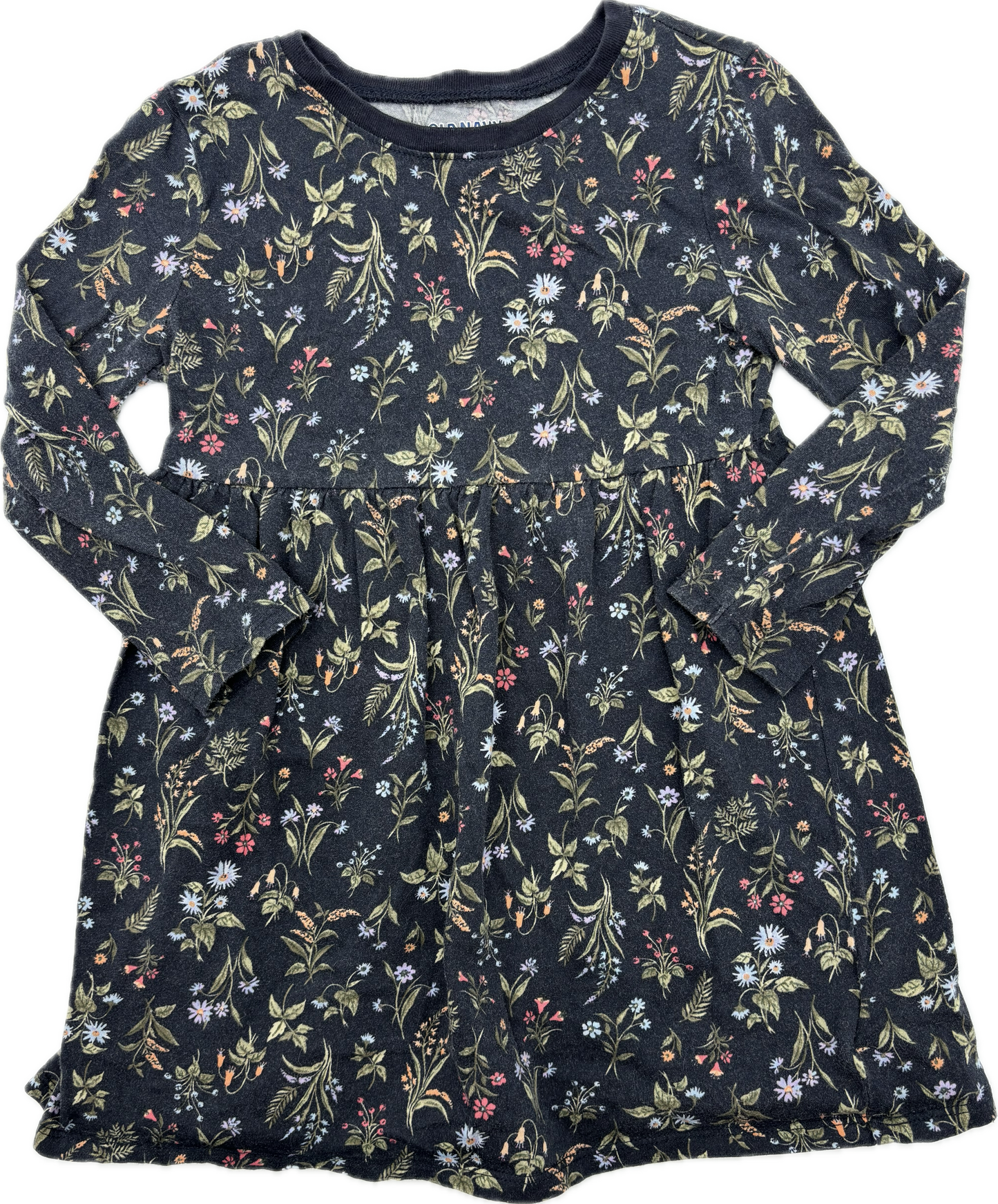 Old Navy | 4T