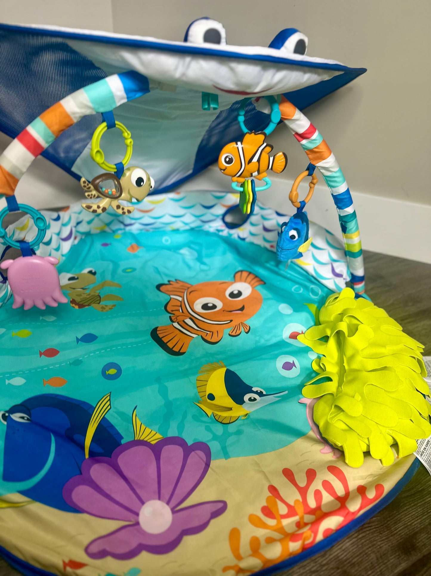 Disney Baby Mr Ray Activity Gym