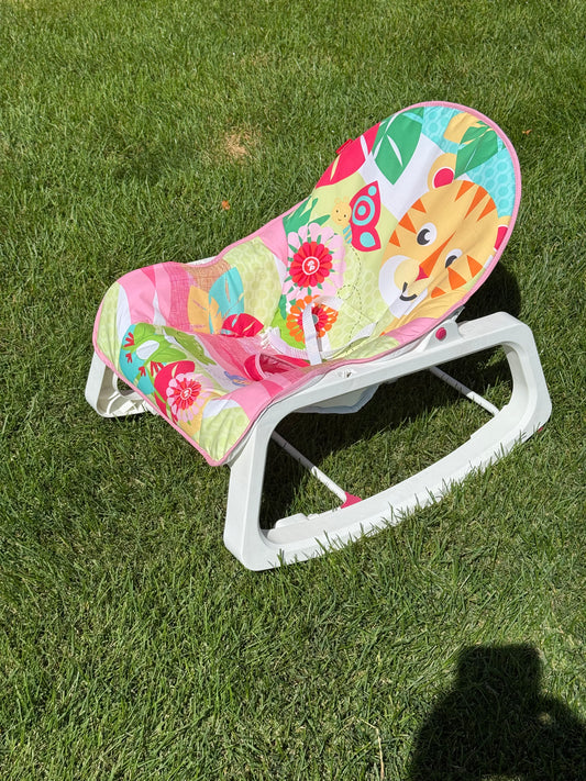 Baby Bouncer